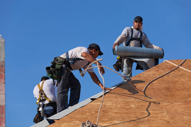 Best Roof Leak Repair  in St Paul, MO