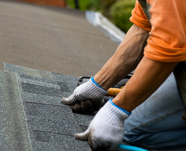Best Metal Roofing Contractor  in St Paul, MO